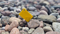 Plancha de Acrílico de Color 1220 x 2440 mm