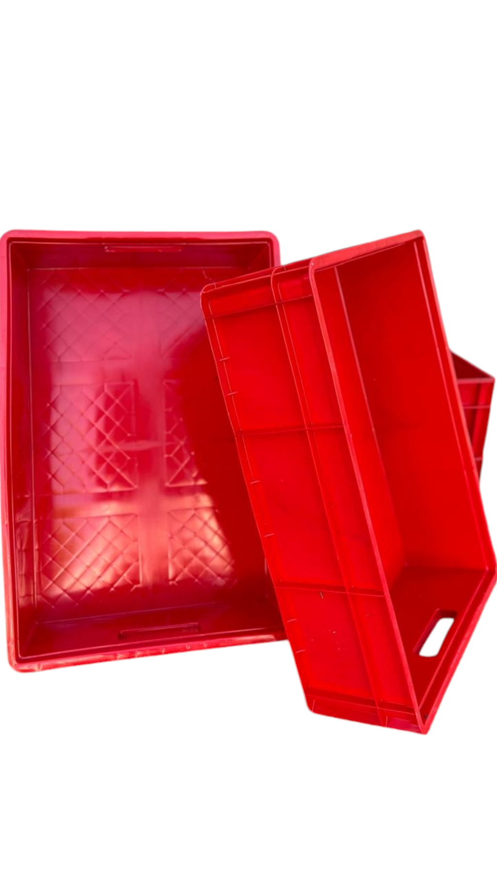 Caja Plástica Cerrada 31 L