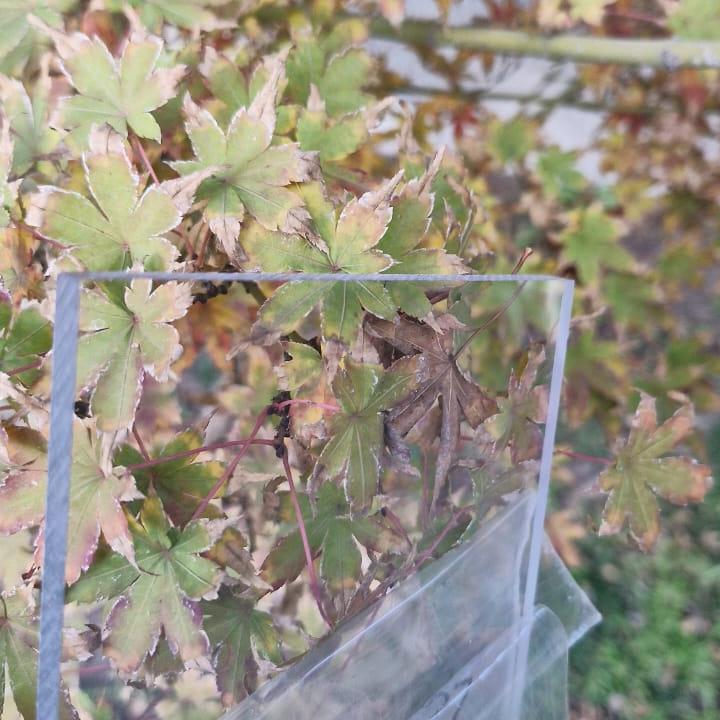 Plancha de Policarbonato Balístico | Wenel