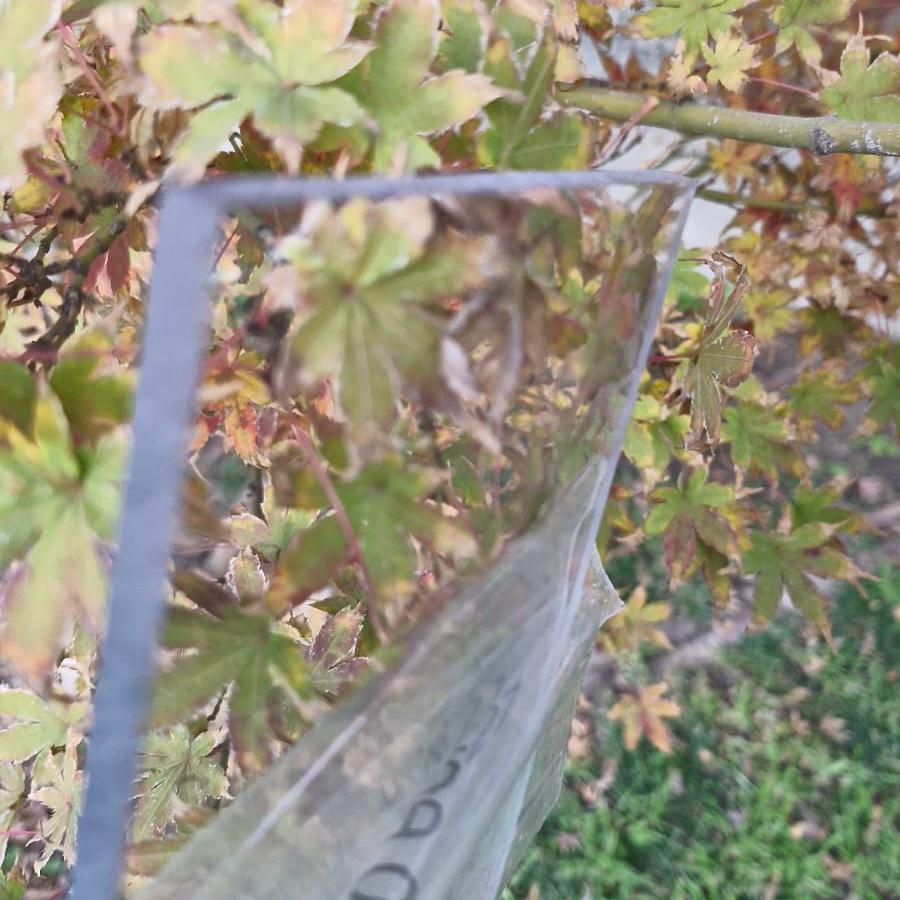 Plancha de Policarbonato Balístico