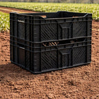 Cajas Cosechera 3/4 | Wenel